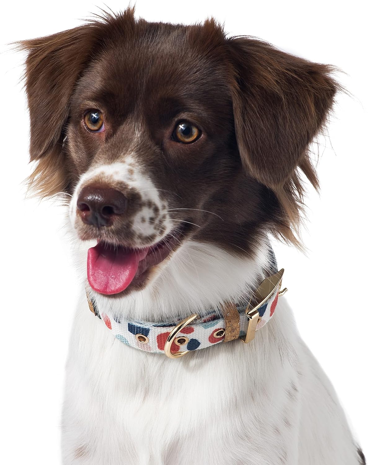 Dog Collar and Bow Matching Set - Willow Shack Collective